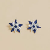 Blue-White Stone Earrings
