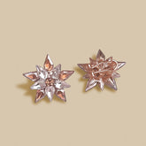 Champagne-White Stone Earrings