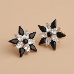 Black-White Stone Earrings