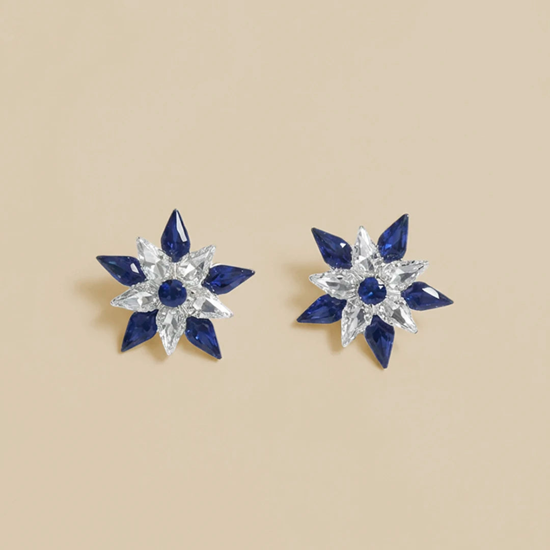 Blue-White Stone Earrings
