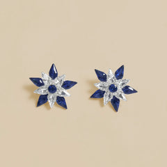 Blue-White Stone Earrings