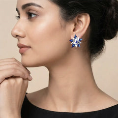 Blue-White Stone Earrings