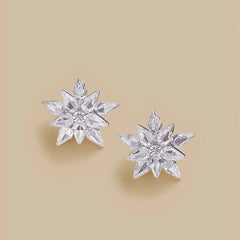 Silver White Stone Floral Earrings